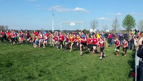 开云电子-中国篮球青少年篮球发展与体育政策关系研究，中国青少年篮球发展现状