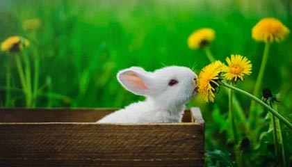 开云体育官网下载-足球教育：青训体系对联赛水平的影响，足球青训项目